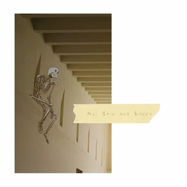 Mr. Skin and Bones by The Neighbourhood Watch - album cover