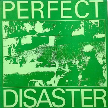 Perfect Disaster by The Perfect Disaster - album cover