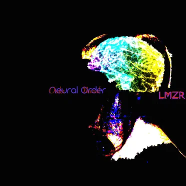 Neural Order by Little Mighty Zebra Rabbit - album cover