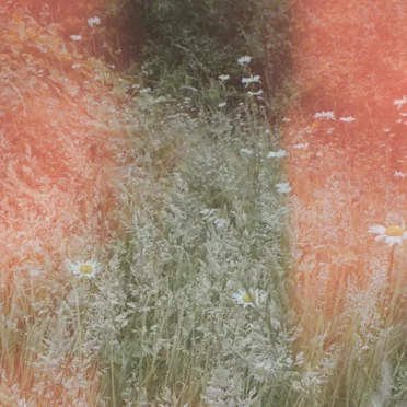 Who Do You Think About?