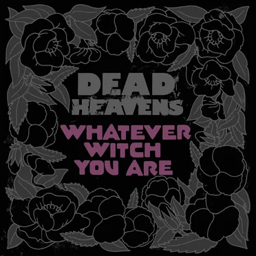 Basic Cable