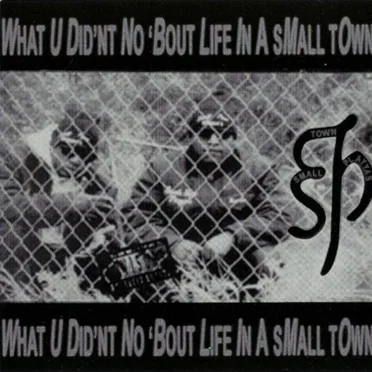 What U Did'nt No 'Bout Life in a Small Town by Small Town Playyas - album cover
