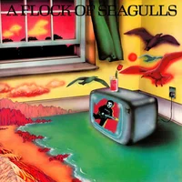 A Flock of Seagulls artist image