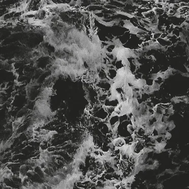 Tempestarii + DISintegration