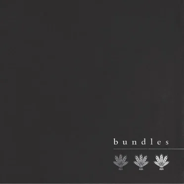 Bundles by Bundles - album cover