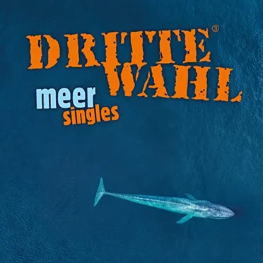 Meer Singles by Dritte Wahl - album cover