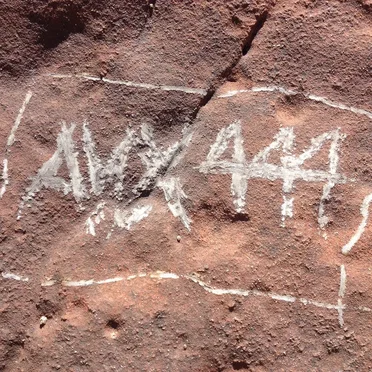 aux444
