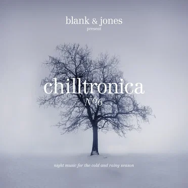 Chilltronica, № 6