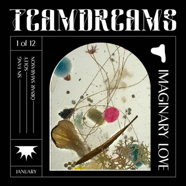Imaginary Love by Team Dreams - album cover