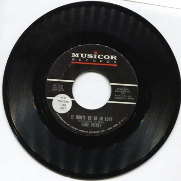 It Hurts to Be in Love / Hawaii