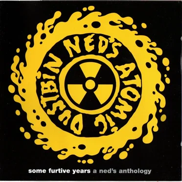 Some Furtive Years A Ned's Anthology
