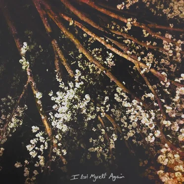 I Lost Myself Again by Forever Losing Sleep - album cover