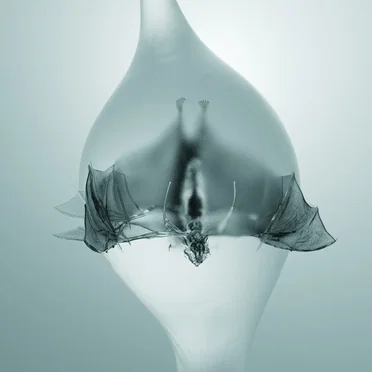 Beyond Heaven's Gate