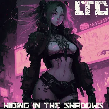 Hiding in the Shadows by Limoilou Terror Corps - album cover