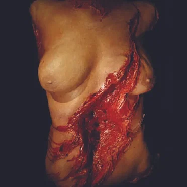 I Slice Her Body, Over And Over