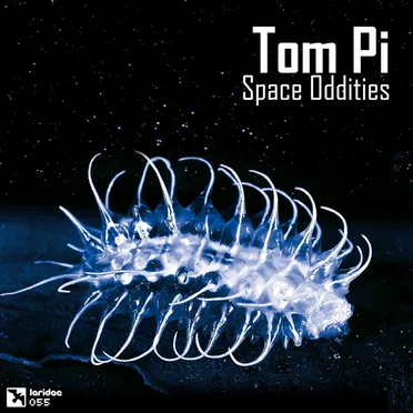 Space Oddities