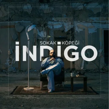 Sokak köpeği