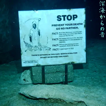 深海からの音