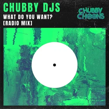 What Do You Want? by Chubby DJs - album cover