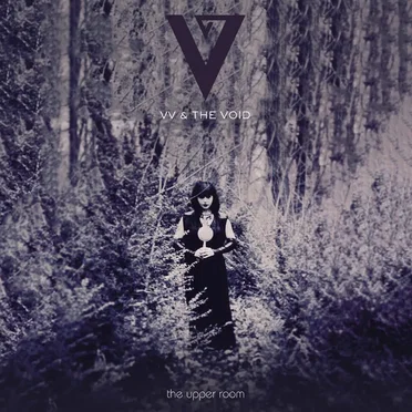 VV & The Void