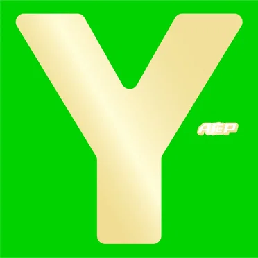 Y by A応P - album cover