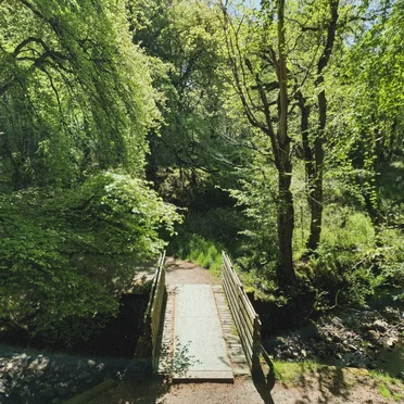 Grounds