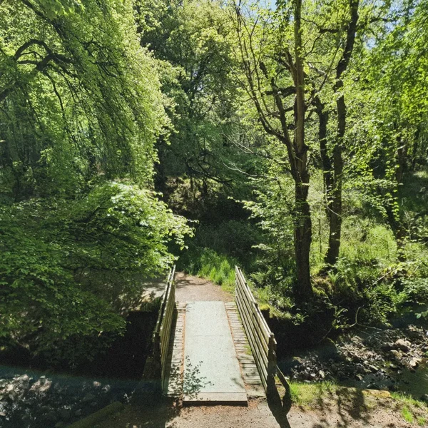 Grounds