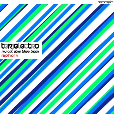 My Cat Also Likes Birds by Terjelectro - album cover