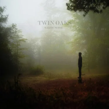 White Noise by Twin Oaks - album cover