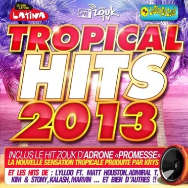 Tropical Hits 2013 by Various Artists - album cover