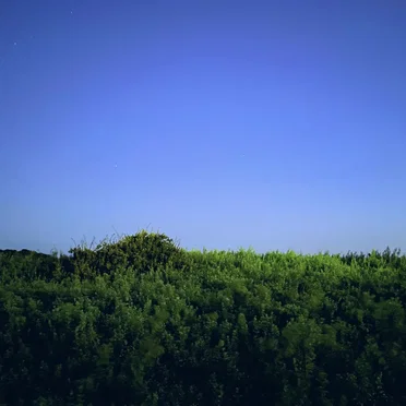 Hayama Ambient 036