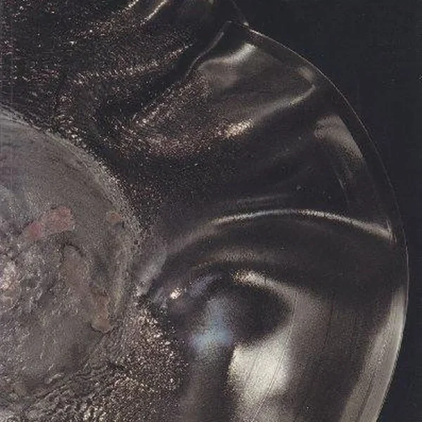 Broken Music (Details)