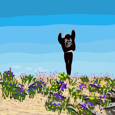 IJWHSF (I Just Wanna Have Some Fun)