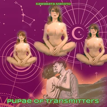 Pupae of Transmitters