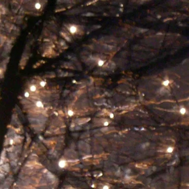 Live at Amann Studios