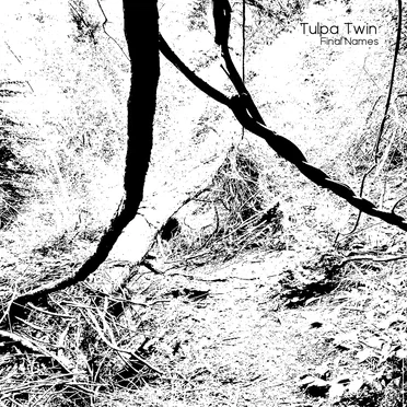 Final Names by Tulpa Twin - album cover