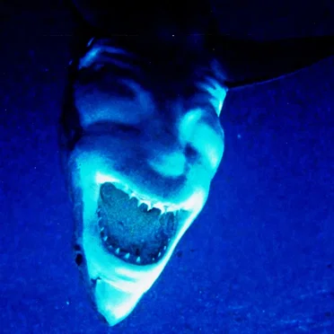 THALASSOPHOBIA // ТАЛАССОФОБИЯ