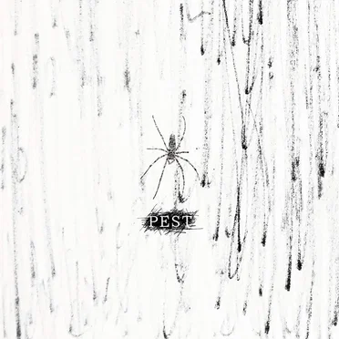 PEST by コドモドラゴン - album cover