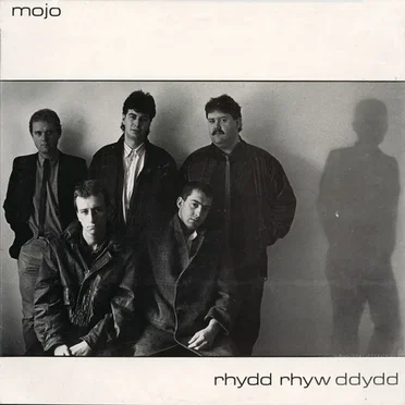 Rhydd Rhyw Ddydd