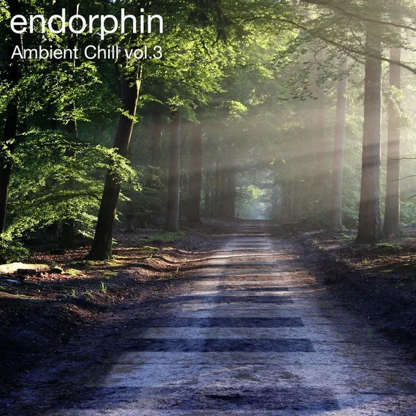 Ambient Chill Vol 3