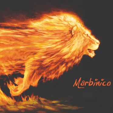 Marbinico by Marbin - album cover