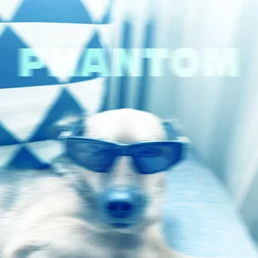 Phantom Dog by Mygl - album cover