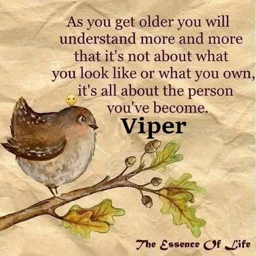 THE ESSENCE OF LIFE