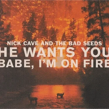 He Wants You / Babe, I’m on Fire