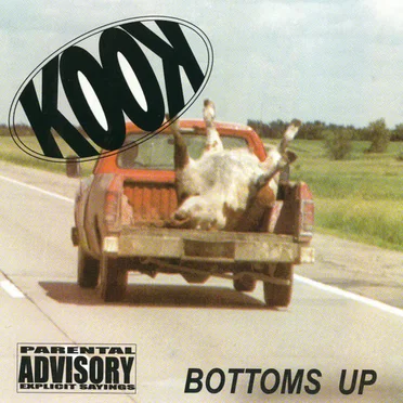 Bottoms Up by Kook - album cover
