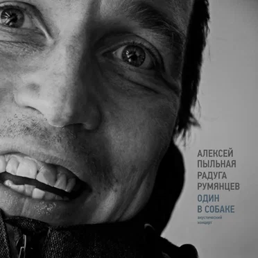 Один в Собаке by Алексей Пыльная Радуга Румянцев - album cover