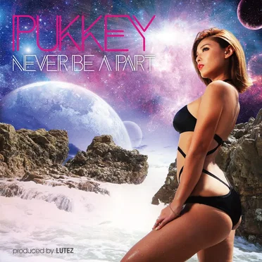 Never Be a Part by pukkey - album cover