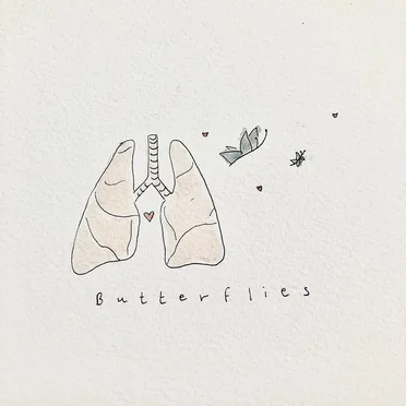 butterflies