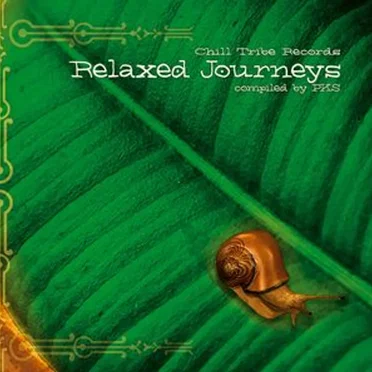 Relaxed Journeys by PKS - album cover