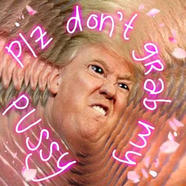 Please Don't Grab My Pussy